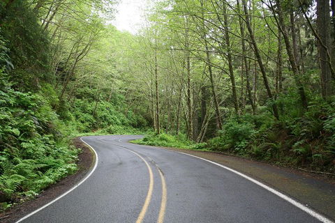 Cruise Ship Shore Excursion - Private Great Ocean Road Full Day Tour (12 Hour) - SA Accommodation 3