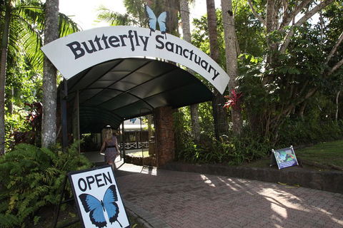 Kuranda Day Trip From Port Douglas Upgrade To Skyrail & Scenic Train Available - SA Accommodation 0