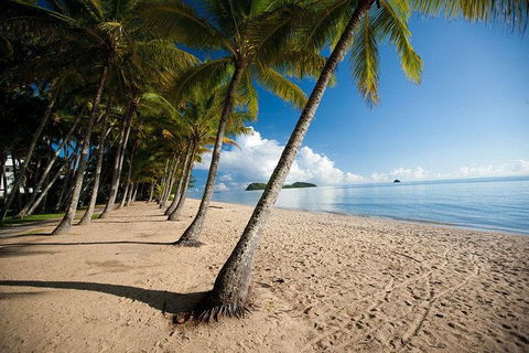 Kuranda Day Trip From Port Douglas Upgrade To Skyrail & Scenic Train Available - SA Accommodation 1