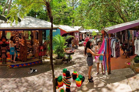 Kuranda Day Trip From Port Douglas Upgrade To Skyrail & Scenic Train Available - SA Accommodation 2
