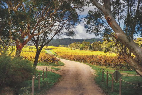 McLaren Vale Winery Small Group Tour With Wine Tasting And Lunch - SA Accommodation 1