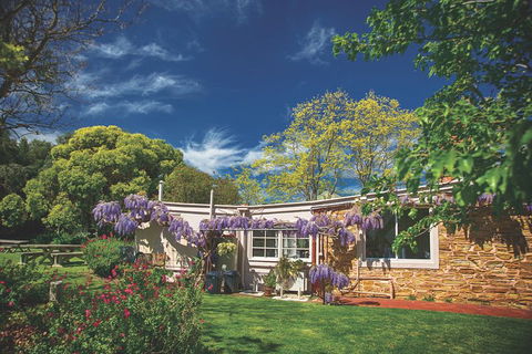 McLaren Vale Winery Small Group Tour With Wine Tasting And Lunch - SA Accommodation 2