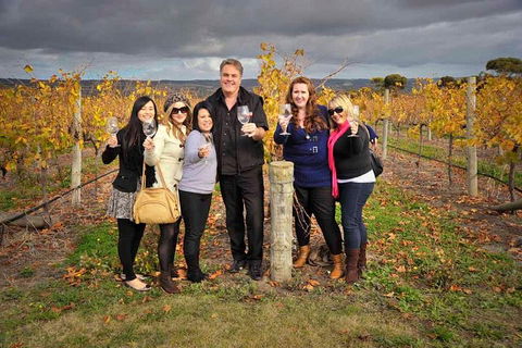 McLaren Vale Winery Small Group Tour With Wine Tasting And Lunch - SA Accommodation 3