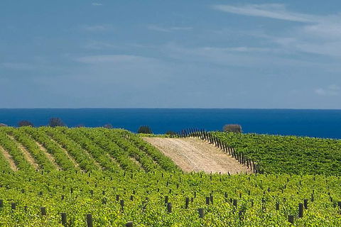 McLaren Vale Winery Small Group Tour With Wine Tasting And Lunch - SA Accommodation 4