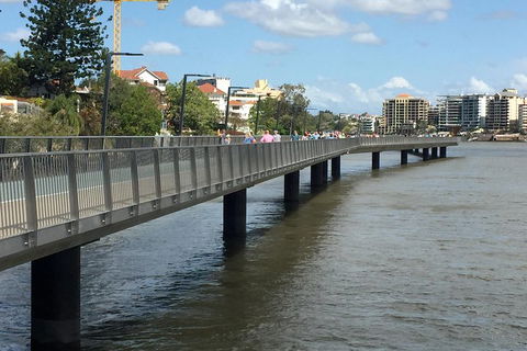 Brisbane City Highlights With Lone Pine! - SA Accommodation 1