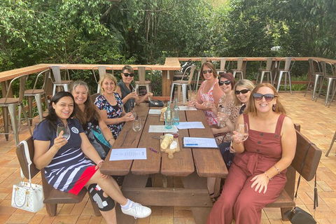 Mt Tamborine ScenicRim Deluxe Wine Tasting And Sightseeeing Tour - SA Accommodation 2