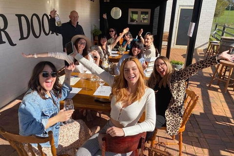 Mt Tamborine ScenicRim Deluxe Wine Tasting And Sightseeeing Tour - SA Accommodation 3