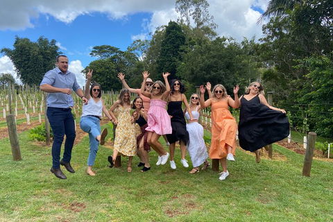 Mt Tamborine ScenicRim Deluxe Wine Tasting And Sightseeeing Tour - SA Accommodation 4