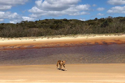Pippies 3 Days 2 Nights Fraser Island Tour - SA Accommodation 2