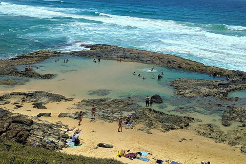Pippies 3 Days 2 Nights Fraser Island Tour - SA Accommodation 5