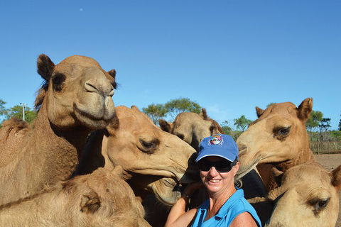 Broome Pre-sunset Camel Tour 30 Minutes - SA Accommodation 0