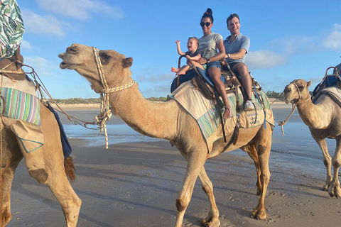 Broome Pre-sunset Camel Tour 30 Minutes - SA Accommodation 3
