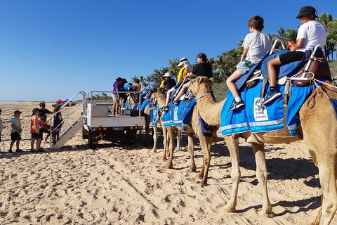Broome Pre-sunset Camel Tour 30 Minutes - SA Accommodation 5