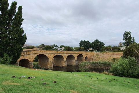 Port Arthur, Richmond And Tasman Peninsula Day Trip From Hobart - SA Accommodation 3