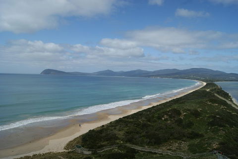 Bruny Island Day Trip From Hobart - SA Accommodation 0