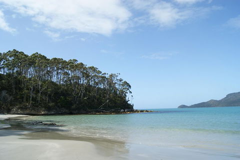Bruny Island Day Trip From Hobart - SA Accommodation 1