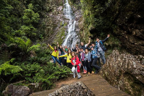 5-Day Lap Of Tasmania Tour From Hobart (flexible Ticket) - SA Accommodation 0