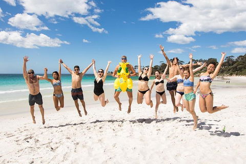 5-Day Lap Of Tasmania Tour From Hobart (flexible Ticket) - SA Accommodation 4