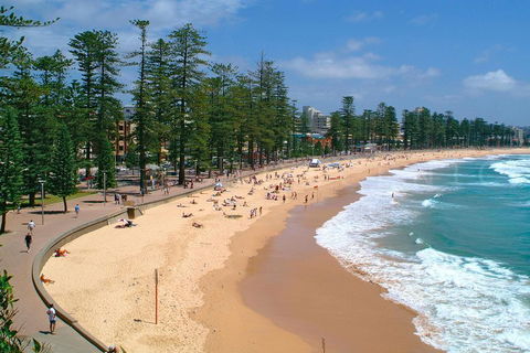 Private Sydney Full Day Tour Including Sydney Opera House, Bondi And Manly - SA Accommodation 3