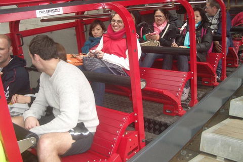 Full-Day Private Blue Mountains Tour With River Cruise - SA Accommodation 0