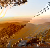 O'Reilly's  Lamington National Park incl. Alpaca Farm  Vineyard - SA Accommodation