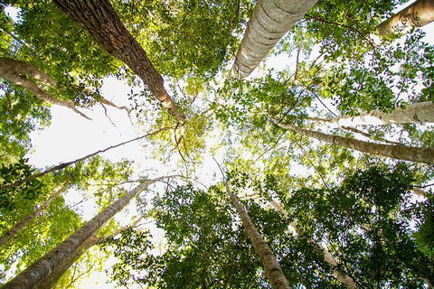 Fraser Island 4WD Tour From Noosa - SA Accommodation 0