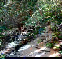 Fraser Island 4WD Tour from Rainbow Beach - SA Accommodation