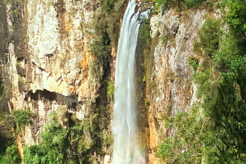 Natural Arch, Rainforest & Volcano Canyon - Private Half Day Tour - SA Accommodation 2