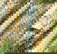Private Tour - Rainforest  Waterfalls Extravaganza - SA Accommodation