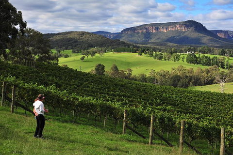 Private Blue Mountains And Winery Day-Trip From Sydney - SA Accommodation 2