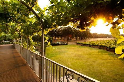 Busselton Jetty + Train Ride + Winery + Scenic Drive Full Day Tour - SA Accommodation 1