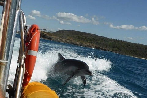 Noosa Oceanrider - Adventure Tour - SA Accommodation 1
