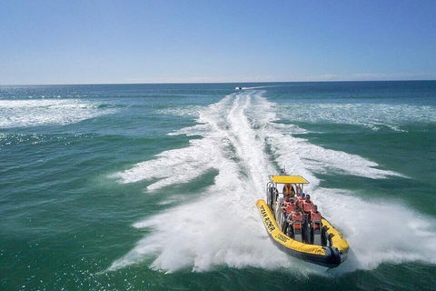 Noosa Oceanrider - Adventure Tour - SA Accommodation 2