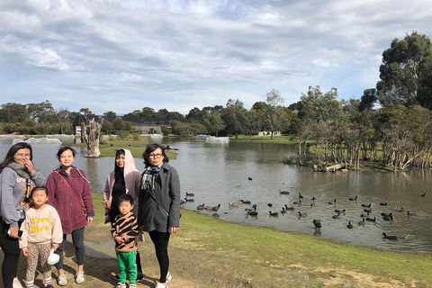 Phillip Island Penguins Private Tour - SA Accommodation 1