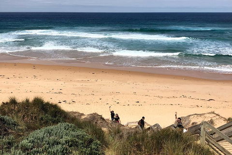 Phillip Island Penguins Private Tour - SA Accommodation 4