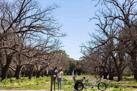 Adelaide 90-Minute Pedicab Tour: Scenic Green & River Experience - SA Accommodation 1