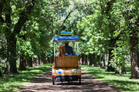 Adelaide 90-Minute Pedicab Tour: Scenic Green & River Experience - SA Accommodation 2