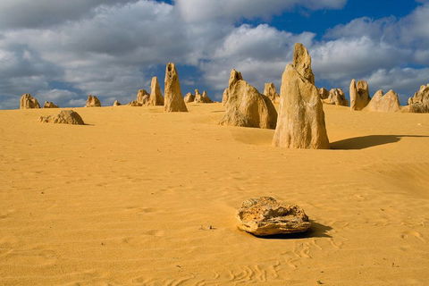 The Pinnacles, Sea And Dunescapes, Bush Reserve And Sunset Day Tour - SA Accommodation 0