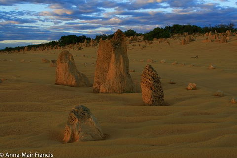 The Pinnacles, Sea And Dunescapes, Bush Reserve And Sunset Day Tour - SA Accommodation 1