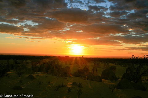 The Pinnacles, Sea And Dunescapes, Bush Reserve And Sunset Day Tour - SA Accommodation 3