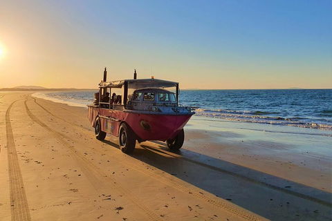 Town Of 1770 Afternoon Cruise - SA Accommodation 1