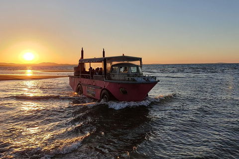 Town Of 1770 Afternoon Cruise - SA Accommodation 3