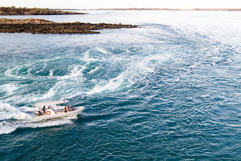 Giant Tides Tour - Cygnet Bay Pearl Farm - SA Accommodation 4
