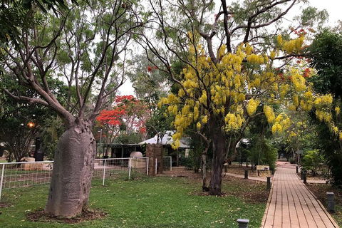 Wet Season Mitchell Falls Tour - Mitchell Falls, Horizontal Falls & Cygnet Bay - SA Accommodation 1