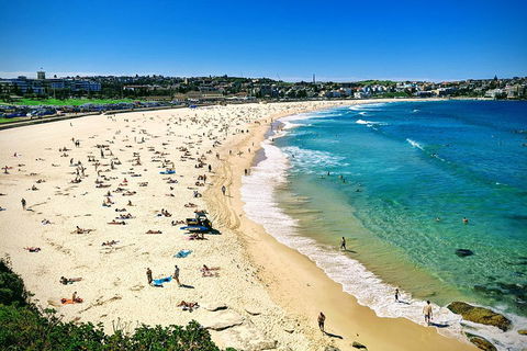 Sydney & Bondi Beach Plus Local Secrets With 'Personalised Sydney Tours' - SA Accommodation 5