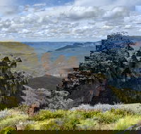 Blue Mountains Private Tour - wild kangaroos waterfalls and The Three Sisters - SA Accommodation