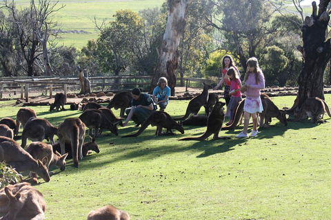 The Port Arthur MEGA Day Trip From Hobart - SA Accommodation 5