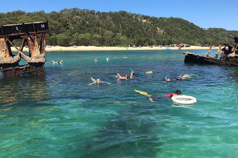 All Inclusive Dolphin And Tangalooma Wrecks Cruise - SA Accommodation 0