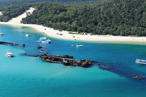 All Inclusive Dolphin And Tangalooma Wrecks Cruise - SA Accommodation 4