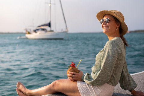 All Inclusive Dolphin And Tangalooma Wrecks Cruise - SA Accommodation 5